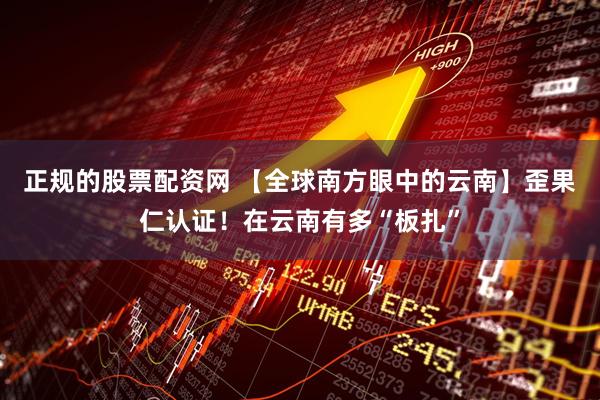 正规的股票配资网 【全球南方眼中的云南】歪果仁认证！在云南有多“板扎”